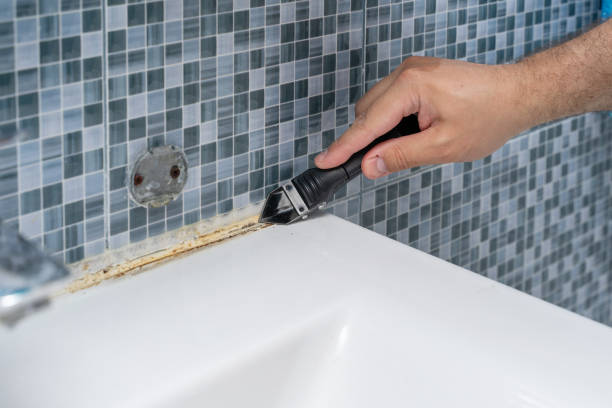 Best Residential Mold Remediation in Rupert, ID